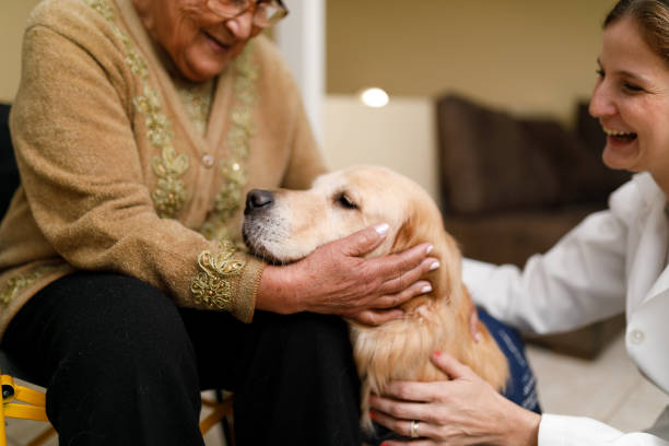 A visual representation of the provided home and pet care services.